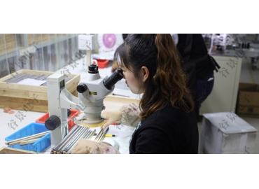 貼片共模電感方向如何區(qū)分你知道嗎？